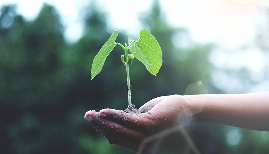 008008pg国际(中国区)-官方网站